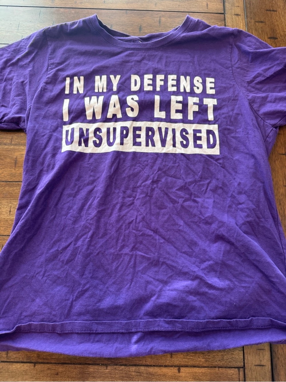 Funny Purple Graphic T-Shirt Size Medium “In My Defense I Was Left Unsupervised”